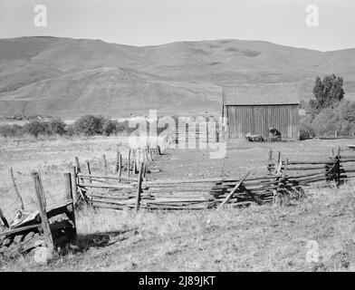 Cortile della Squaw Creek Valley. OLA self-help segheria co-op. GEM County, Idaho. Il vecchio carro e il buggy contro il fienile sono stati utilizzati per la posta fino al 1921. Foto Stock