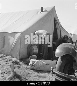 Condizioni di vita per i raccoglitori di patate migranti. Tulelake, contea di Siskiyou, California. [Lavoratori agricoli che lavano in una ciotola d'acqua]. Foto Stock