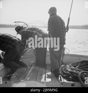 [Foto senza titolo, possibilmente relativa a: A bordo della barca da pesca Alden out di Gloucester, Massachusetts. Pescatori seduti sul ponte la prima mattina]. Foto Stock