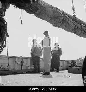 A bordo della barca da pesca Alden out di Gloucester, Massachusetts. Pescatori sulla barca. Foto Stock