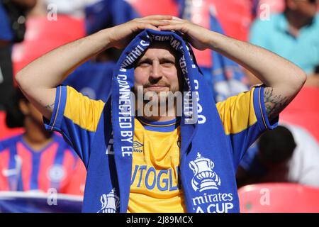 FAN DI CHELSEA CON SCALF, CHELSEA V LIVERPOOL, 2022 Foto Stock