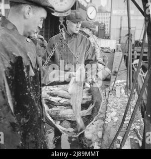 [Foto senza titolo, probabilmente legata a: New York, New York. Pescatori del New England che scaricano pesce al mercato del pesce Fulton]. Foto Stock