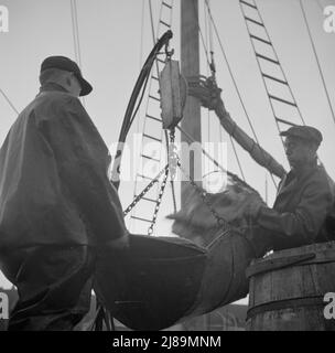 [Foto senza titolo, probabilmente legata a: New York, New York. Pescatori del New England che scaricano pesce al mercato del pesce Fulton]. Foto Stock