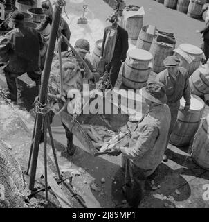 New York, New York. Fulton mercato del pesce stevedores scarico e pesare il pesce al mattino presto. Foto Stock