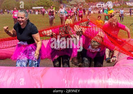 Baiter Park, Poole, Dorset, Regno Unito. 14th maggio 2022. Bella giornata di sole caldo per Race for Life Poole Pretty Muddy, con centinaia di vestiti in rosa, unendo la lotta per battere il cancro e raccogliere soldi per Cancer Research UK, negoziando ostacoli e divertirsi a coprire nel fango, sia nella corsa dei bambini e adulti. Credit: Carolyn Jenkins/Alamy Live News Foto Stock