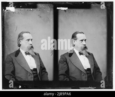 L.Q.C. Lamar del Mississippi, 1865-1880. Lamar, Hon. L.Q.C. della sig.ra U.S. Supreme Court Judge, col. Di 18th sig.ra INF. C.S.A., tra il 1865 e il 1880. [Ha sollevato il reggimento di fanteria del Mississippi del 19th dell'esercito degli Stati confederati, e lo ha finanziato dalla sua tasca; politico, diplomatico, giurista; Segretario dell'interno]. Foto Stock