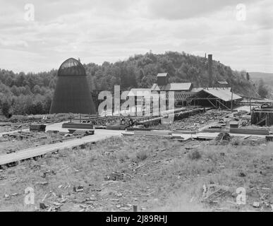 Mumby Lumber Mill, chiuso nel 1938 dopo trentacinque anni di attività. Ora in fase di smontaggio. Western Washington, Grays Harbor County, Malone, Washington. Foto Stock