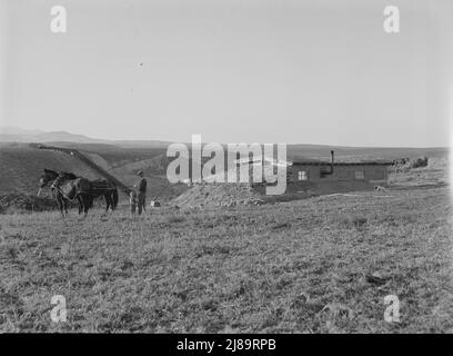 La casa di Daugherty [o Dougherty]. Nota sifone che porta l'acqua di irrigazione dal banco opposto. Distretto di Warm Springs, contea di Malheur, Oregon. Foto Stock