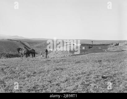 La casa di Daugherty [o Dougherty]. Nota sifone che porta l'acqua di irrigazione dal banco opposto. Distretto di Warm Springs, contea di Malheur, Oregon. Foto Stock