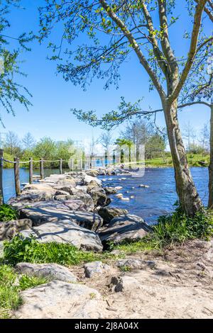 Pietre di passo utilizzato come un ponte a Brug Molenplas sul fiume Oude Maas, pali di legno e recinzioni di corda, alberi verdi sullo sfondo, giorno di sole in Foto Stock