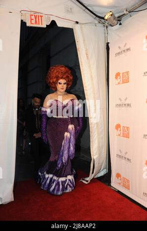 Ali Forney Centres Un posto al Table Gala festeggiando i talenti LGBT rosso tappeto a Cipriani's Wall Street a New York foto di Nadja Sayej Foto Stock