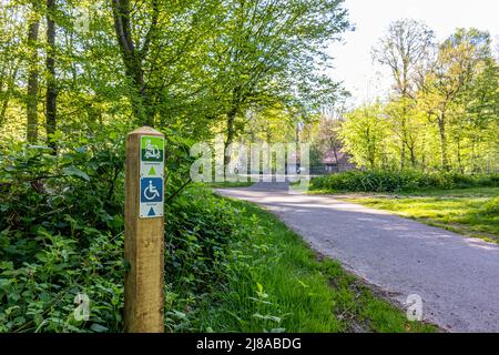 Cartello escursionistico per disabili in un parco, disegno e parole Rollstoel, Scootmobiel significa sedia a rotelle e scooter, un percorso e gli alberi sullo sfondo, H Foto Stock