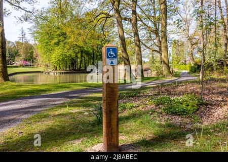 Cartello escursionistico per disabili in un parco, disegno e la parola Rollstoel significa sedia a rotelle, un percorso, stagno e alberi sullo sfondo, giorno di sole a Heid Foto Stock