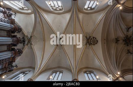 Hasselt, Limburg, Belgio - 04 12 2022 - soffitto della cattedrale gotica di San Quentin Foto Stock