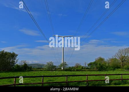 Bridgwater, Regno Unito. 13th maggio 2022. In un pomeriggio di sole ventoso e caldo, i primi piloni di energia elettrica New Shape T appena installati sono visti attraverso il paesaggio verde di Rooksbridge nel Somerset Nord, che viene messo a fornire energia dalla rete Nazionale. Picture Credit: Robert Timoney/Alamy Live News Foto Stock