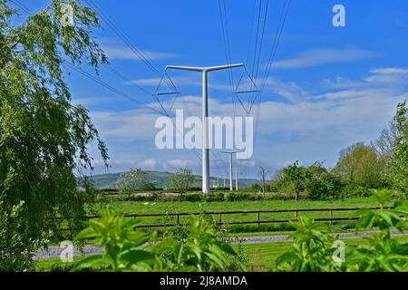 Bridgwater, Regno Unito. 13th maggio 2022. In un pomeriggio di sole ventoso e caldo, i primi piloni di energia elettrica New Shape T appena installati sono visti attraverso il paesaggio verde di Rooksbridge nel Somerset Nord, che viene messo a fornire energia dalla rete Nazionale. Picture Credit: Robert Timoney/Alamy Live News Foto Stock