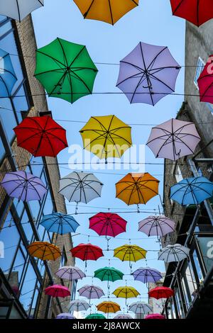 Colorato ombrellone al bar Zozimus nel centro di Dublino. Colori luminosi di installazione d'arte contro il cielo blu. Irlanda Foto Stock