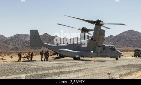 Marines e marinai degli Stati Uniti con Marine Wing Support Squadron 273, Marine Aircraft Group 29, 2nd Marine Aircraft Wing, caricano vittime simulate su un Boeing Bell del corpo Marino MV-22 Osprey degli Stati Uniti durante un evento di addestramento di difesa Forward Arming and Refeling Point (FARP) presso Marine Corps Air Ground Combat Center Twentynine Palms, California, 26 aprile 2022. Un FARP svolge una funzione logistica critica che garantisce un rapido accesso alle armi e al carburante. (STATI UNITI Foto del corpo marino di Lance CPL. Joshua Sechser) Foto Stock