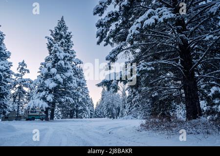 Alba in una mattinata invernale molto fredda in Idaho. Foto Stock