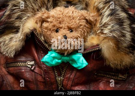 Un orsacchiotto marrone in una cravatta ad arco si trova in una giacca in pelle di pelliccia sotto la serratura e la chiave, bellezza e moda Foto Stock