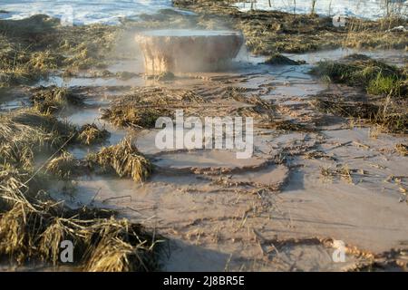 Il tubo sporge da terra nella palude. Artefatto nell'ambiente. Il tubo arrugginito rilascia acqua nel fiume. Inquinamento dell'ambiente. Foto Stock