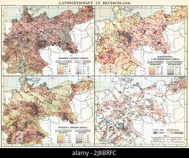 Mappa dei terreni agricoli (segale, avena, frumento, orzo, barbabietola da zucchero, Tabacco) dell'Impero tedesco (Deutsches Kaiserreich). Pubblicazione del libro 'Meyers Konversations-Lexikon', Volume 2, Lipsia, Germania, 1910 Foto Stock