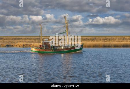 Come a casa Barca a gamberi a Leyhoerner Sieltief, Greetsiel, Frisia orientale, Mare del Nord, bassa Sassonia, Germania Foto Stock