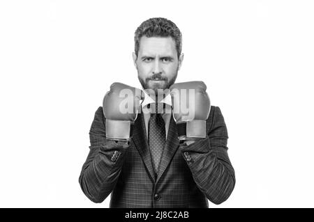 Il responsabile senior indossa guanti da boxe in stile business formale isolati su bianco, concorrenza Foto Stock