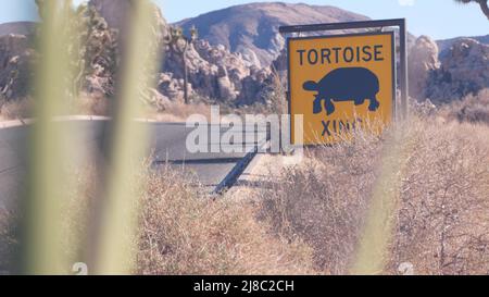 Tartaruga o tartaruga che attraversa il cartello stradale giallo, California USA. Segnaletica stradale Wild Animals xing. Fauna selvatica protezione, autostrada nel deserto deserto deserto selvaggio. Viaggio in auto nel parco nazionale di Joshua Tree Foto Stock