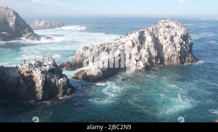 Gregge di pellicani marroni sulla scogliera, isola rocciosa nell'oceano, paesaggio di Point Lobos, fauna selvatica di Monterey, costa della California, Stati Uniti. Grandi onde che si infrangono, uccelli che volano. Molti pelecanus nidificanti, colonia di animali selvatici. Foto Stock