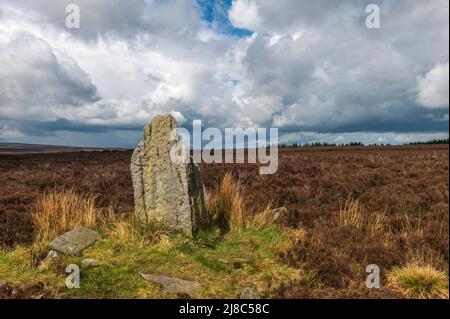 Blue Man-i'-th'-Moss una pietra in piedi sul lago wake Walk attraverso Wheeldale Moor, North Yorkshire Foto Stock