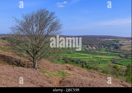 Castleton da Castleton Rigg sopra Danby Dale nel North York Moors Foto Stock