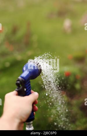 La mano del giardiniere tiene un tubo con un'irroratrice ed innaffiato le piante nel giardino Foto Stock