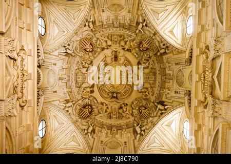 Soffitto nel museo delle Belle Arti di Siviglia - Spagna Foto Stock