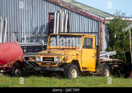 Toyota Yellow Land Cruiser J40 fienile esterno vicino a Waverly, South Taranaki, Isola del Nord, Nuova Zelanda Foto Stock