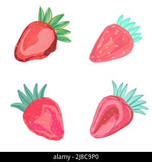 Set di fragole disegnate a mano Vector. Rosa succosa Berries isolato su sfondo bianco. Elementi estivi per il design. Illustrazione Vettoriale