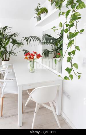 L'interno luminoso dell'appartamento di un amante dei fiori in vaso. Tavolo bianco con sedie. Sul tavolo, un vaso di vetro con un bouquet di pappagallo rosso. Foto Stock