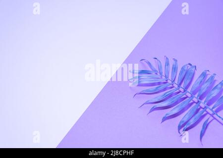 Foglie tropicali e di palma in vivaci e audaci colori olografici al neon. Minimo sfondo surrealismo. Foto Stock
