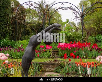 Chenies Manor Garden. La scultura di Alan Bigg del 'Diver' si affaccia sullo stagno ornamentale nel giardino Sunken, con tulipani e tralicci ad arco. Foto Stock