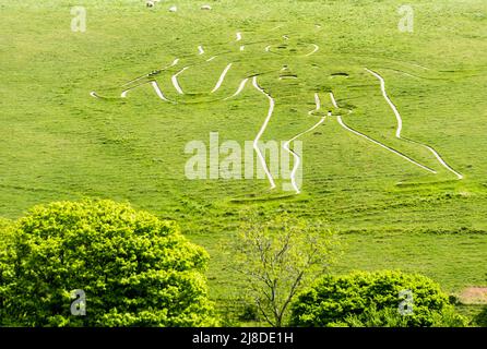 Cerne Abbas Giant nel Dorsetshire, un antico simbolo di fertilità. Foto Stock