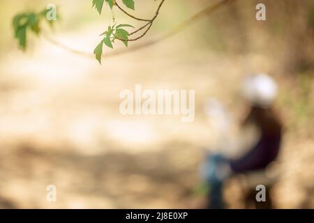 La bambina dipinge all'aria aperta nel parco delle fiabe in fiore in primavera. Disegni per bambini. Ragazzo creativo. Gioia dell'infanzia. Foto di alta qualità Foto Stock