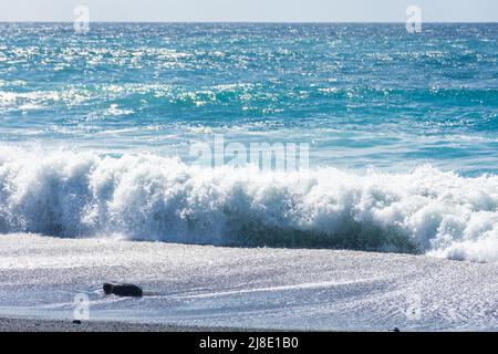 Onde potenti sulla spiaggia dell'isola di Lanzarote, Oceano Atlantico, Isole Canarie in Spagna Foto Stock