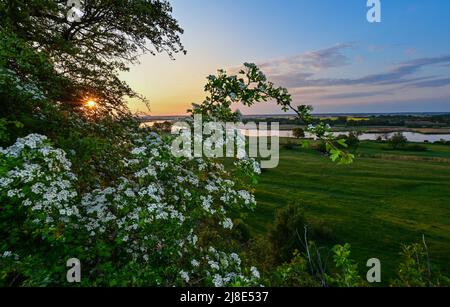 Lebus, Germania. 13th maggio 2022. L'alba risplende coloramente sul paesaggio lungo il fiume Oder, confine tra Germania e Polonia. Il fiume Oder, lungo circa 840 chilometri, sorge nella Repubblica Ceca, attraversa la Polonia e infine sfocia nel Mar Baltico nella laguna di Szczecin. Credit: Patrick Pleul/dpa/Alamy Live News Foto Stock