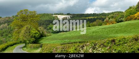 Vista panoramica della splendida campagna intorno a Kilburn, vicino a Thirsk nel North Yorkshire, con strada a binario singolo, siepi, fiori selvatici, campi verdi Foto Stock