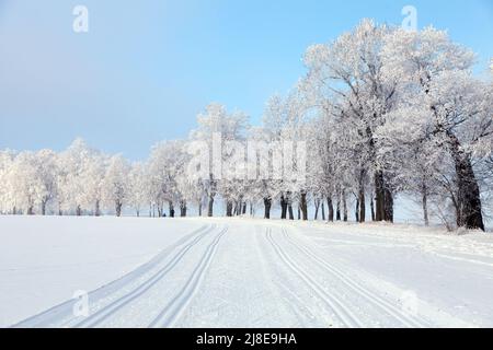 Paesaggio invernale paesaggio modificato con lo sci di fondo modo Foto Stock