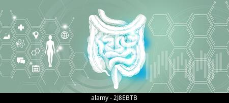 Ricerca e recupero della malattia dell'intestino dell'organo interno umano. Tavolozza dei modelli turchesi, spazio di copia per il testo. Foto Stock