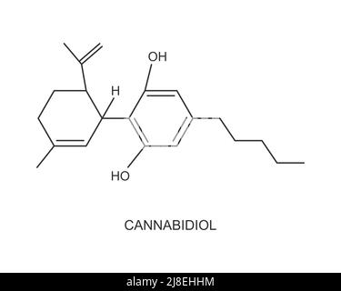 Icona della struttura molecolare chimica del cannabidiolo isolata su sfondo bianco. Cannabinoide derivato da specie di Cannabis. Formula farmaco medico CBD. Illustrazione del contorno vettoriale. Illustrazione Vettoriale