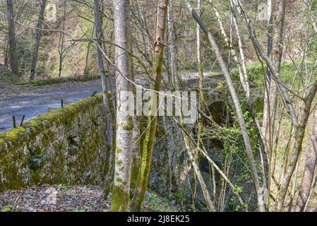 Römerbrücke, Lost Place, Steyrtal Straße, historisch, 1865, Steinbrücke, Bogenbrücke, aufgelassen, stillgelegt, schmal, einspurig, verwachsen, zugewac Foto Stock