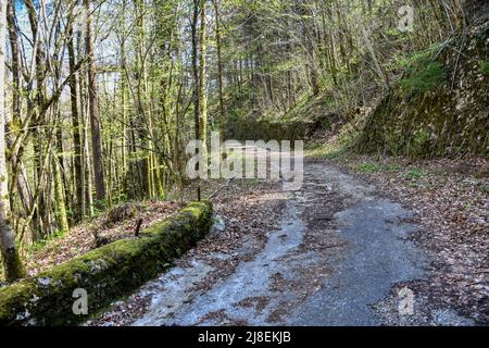 Römerbrücke, Lost Place, Steyrtal Straße, historisch, 1865, Steinbrücke, Bogenbrücke, aufgelassen, stillgelegt, schmal, einspurig, verwachsen, zugewac Foto Stock