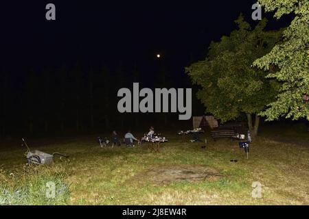 Sommer Fest a Sachsen Anhalt, Falkerei Harz. Foto Stock